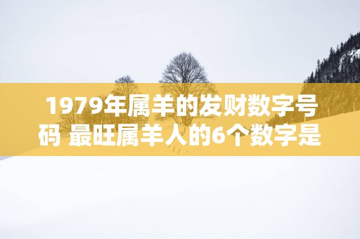 1979年属羊的发财数字号码 最旺属羊人的6个数字是多少