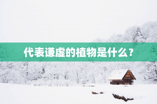 代表谦虚的植物是什么？