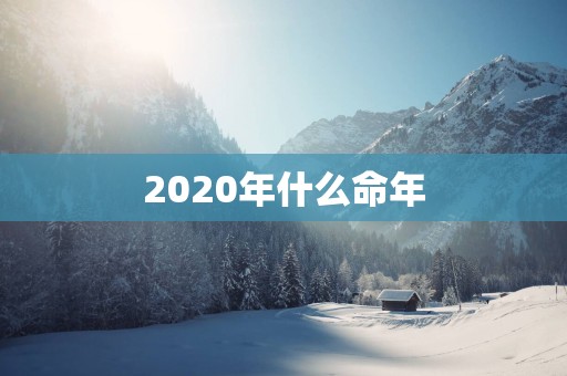 2025年什么命年