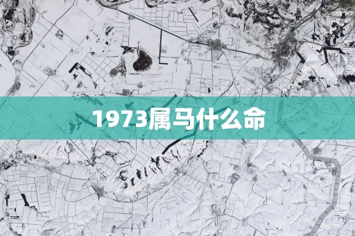 1973属马什么命