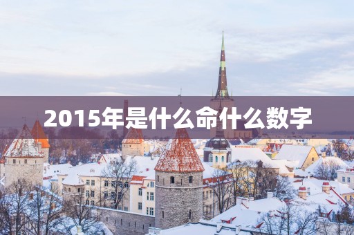 2015年是什么命什么数字