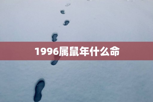 1996属蛇年什么命