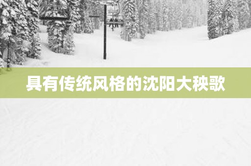 具有传统风格的沈阳大秧歌