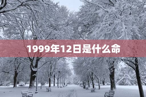 1999年12日是什么命