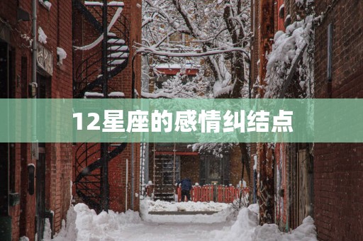 12星座的感情纠结点
