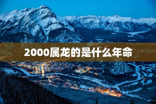 2000属龙的是什么年命