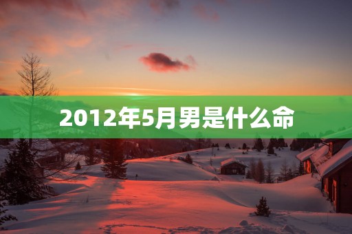2012年5月男是什么命