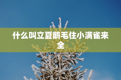 什么叫立夏鹅毛住小满雀来全