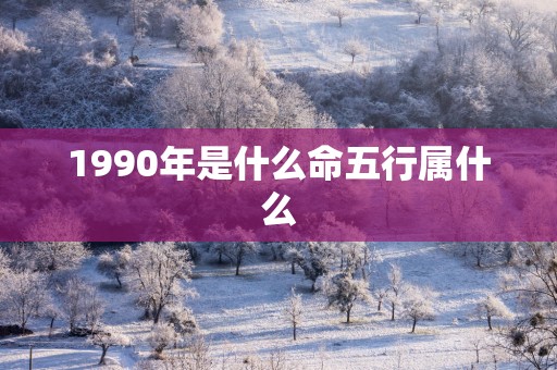 1990年是什么命五行属什么