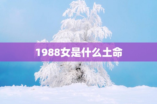 1988女是什么土命