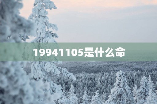 19941105是什么命