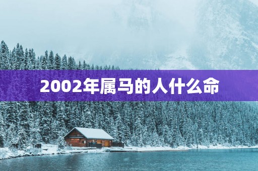 2002年属马的人什么命
