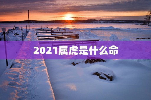 2025属虎是什么命