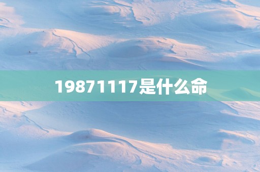 19871117是什么命