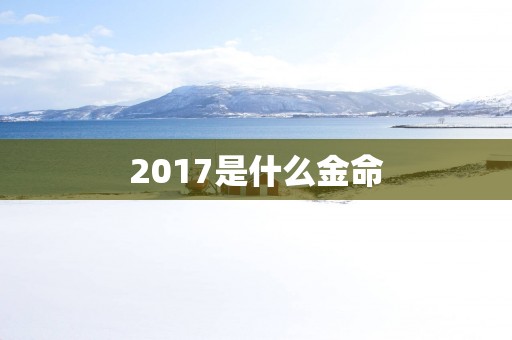 2017是什么金命