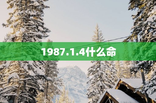 1987.1.4什么命