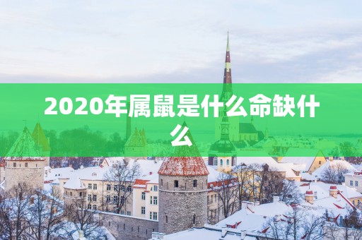 2025年属鼠是什么命缺什么