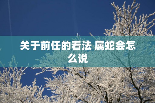 关于前任的看法 属蛇会怎么说