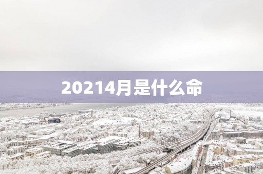 20254月是什么命
