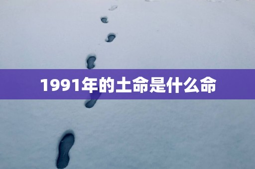 1991年的土命是什么命