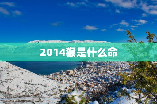 2014猴是什么命