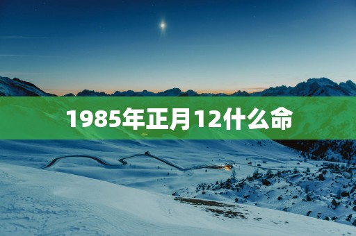 1985年正月12什么命