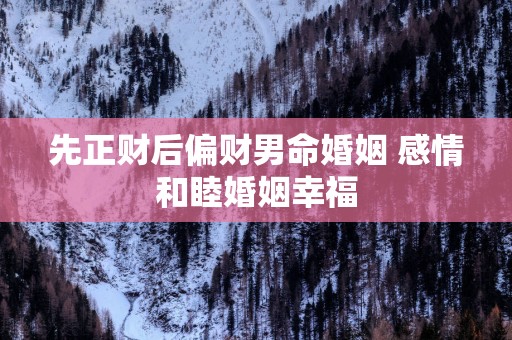 先正财后偏财男命婚姻 感情和睦婚姻幸福