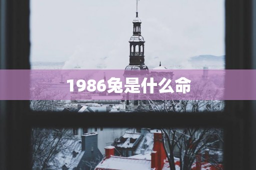 1986兔是什么命