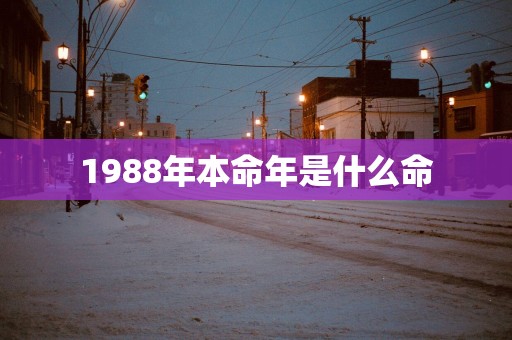 1988年本命年是什么命