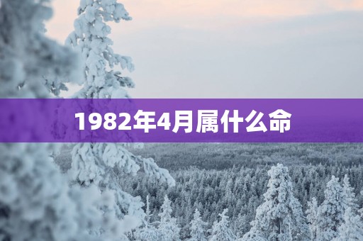 1982年4月属什么命