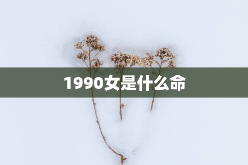 1990女是什么命