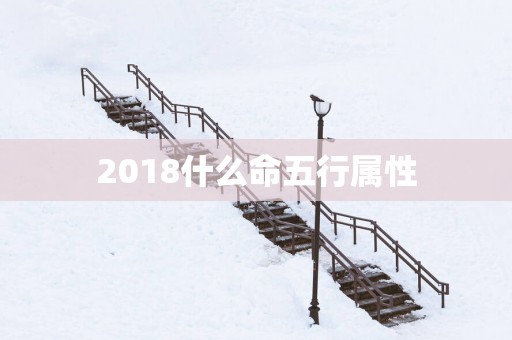 2018什么命五行属性