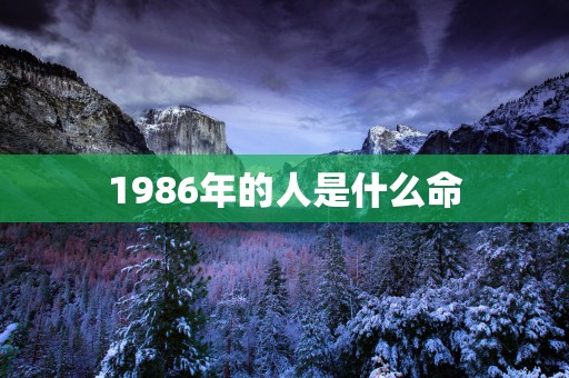 1986年的人是什么命