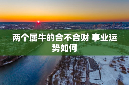 两个属牛的合不合财 事业运势如何