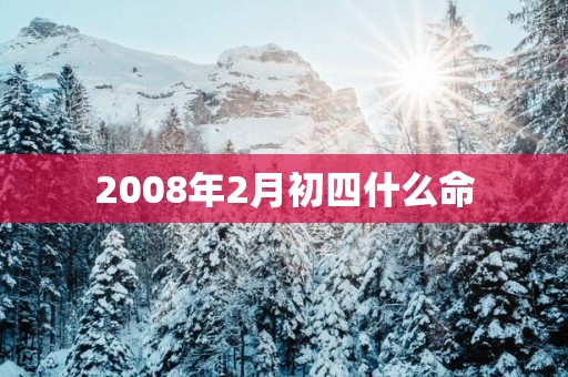 2008年2月初四什么命