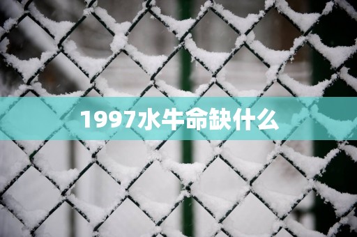 1997水牛命缺什么