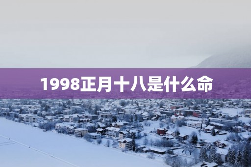 1998正月十八是什么命