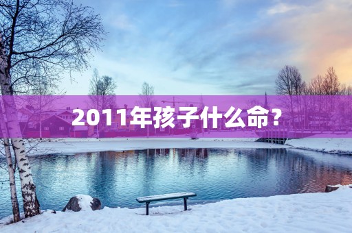 2011年孩子什么命？
