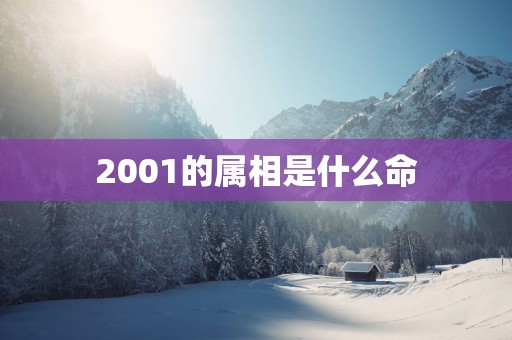 2001的属相是什么命