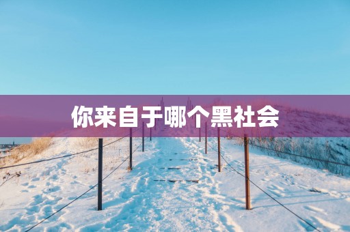 你来自于哪个黑社会