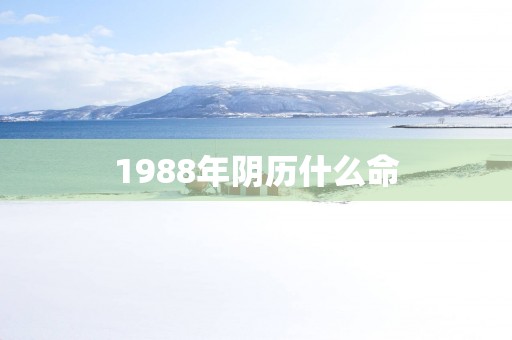 1988年阴历什么命