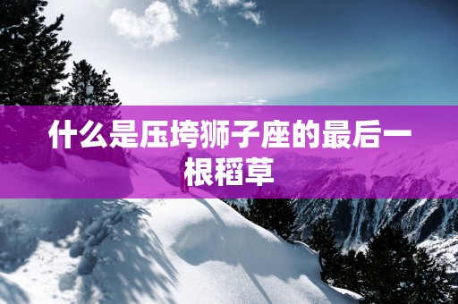 什么是压垮狮子座的最后一根稻草