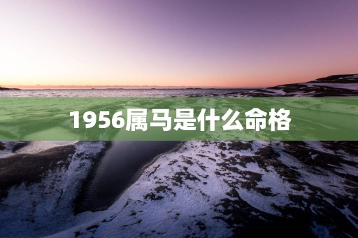 1956属马是什么命格