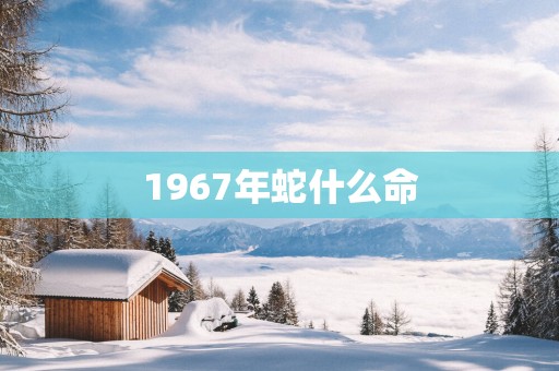 1967年蛇什么命