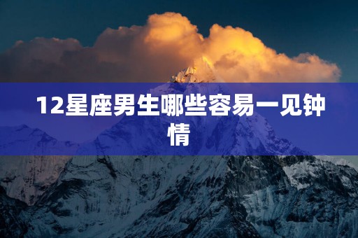 12星座男生哪些容易一见钟情
