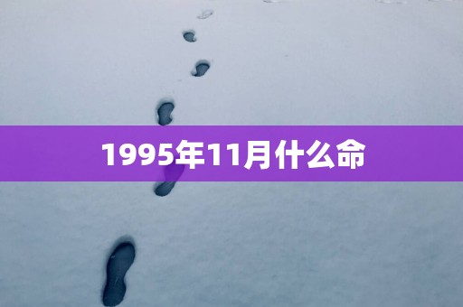 1995年11月什么命