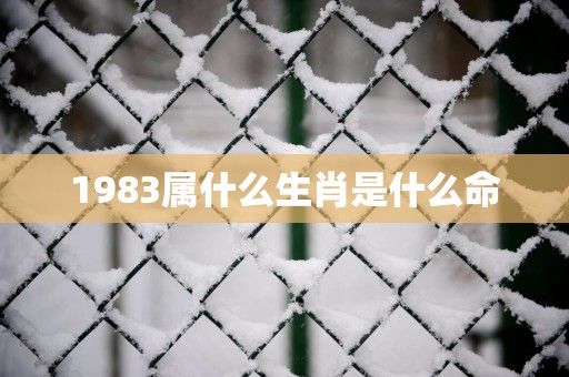 1983属什么生肖是什么命