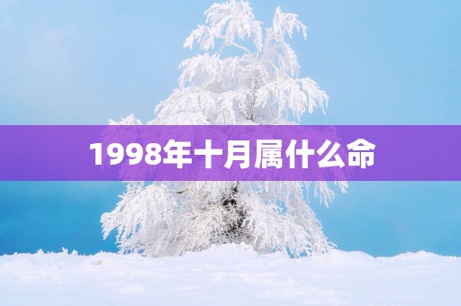 1998年十月属什么命
