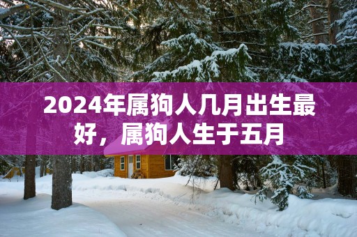 2025年属狗人几月出生最好，属狗人生于五月
