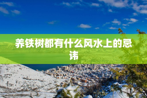 养铁树都有什么风水上的忌讳